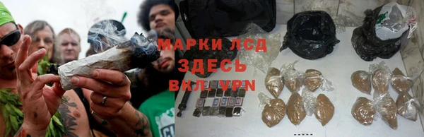 ешки Алзамай