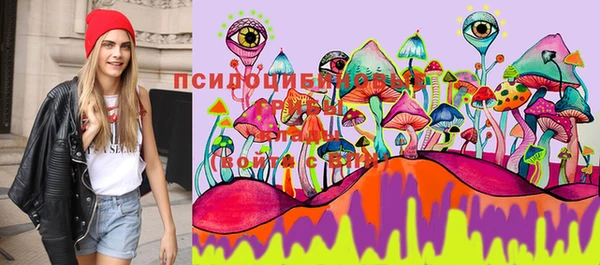 винт Алексеевка