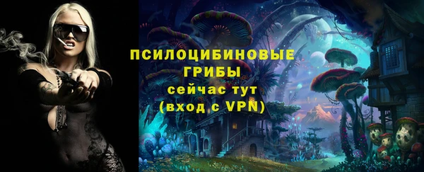 скорость Аркадак