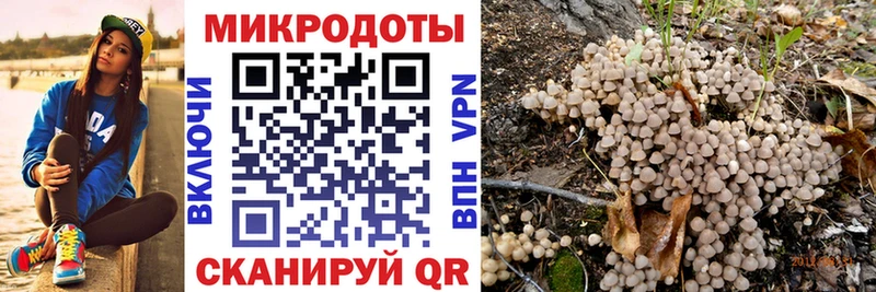 хочу наркоту  Артёмовск  Галлюциногенные грибы GOLDEN TEACHER 